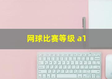 网球比赛等级 a1